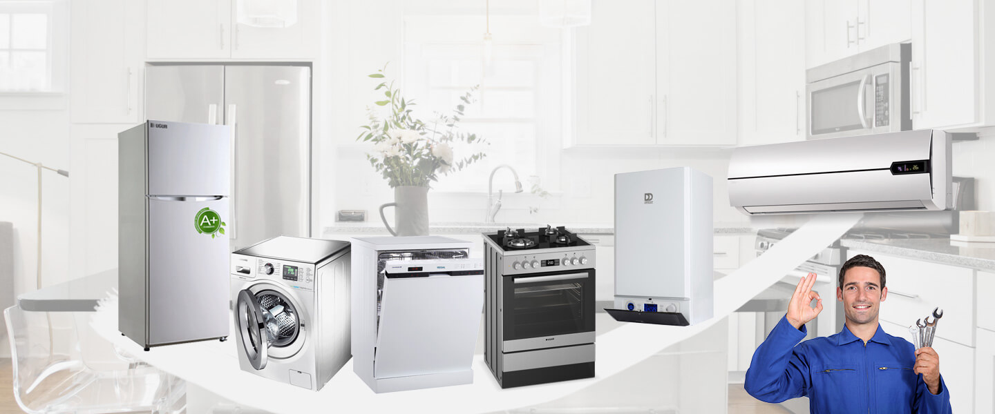 Mihalıççık Gorenje Servisi